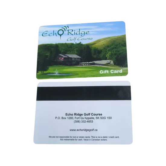 Matt/Frosted Surface PVC Card with Magnetic Stripe for Museum