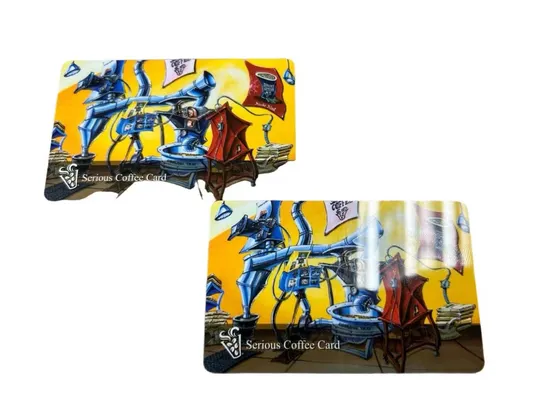 Pearlescent Printing PVC Card with Magnetic Stripe for Museum